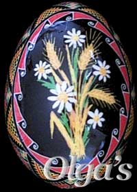 Ukrainian egg. Wheat and daisy  pysanka.